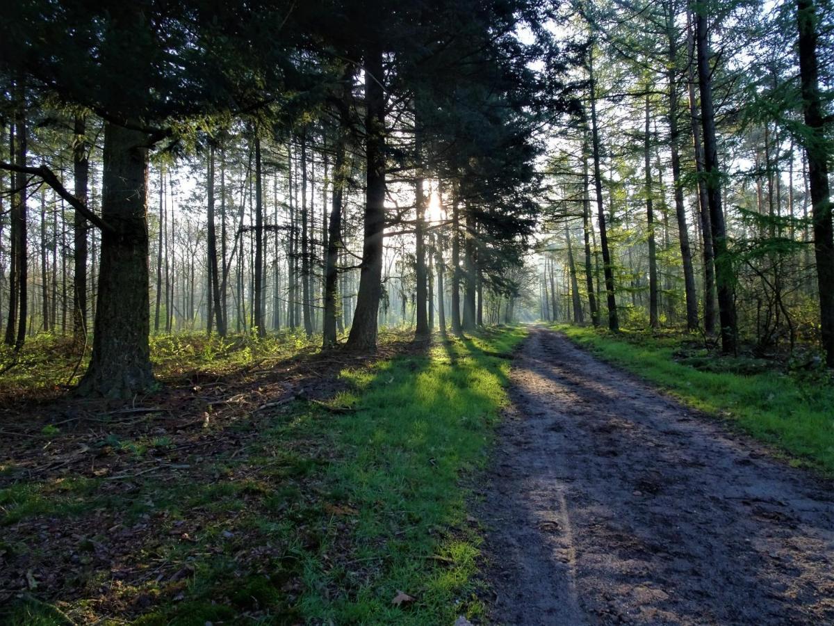 Veluwe Park Reewold Chalet Eclipse Putten Luaran gambar